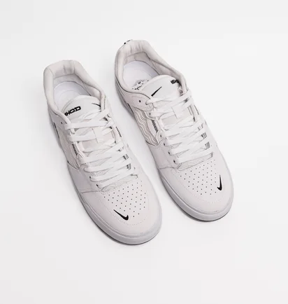 Кросівки чоловічі Nike Sb Ishod Wair Premium White Dz5648-101