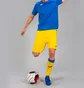 Футболка детская Joma T-Shirt Combi Royal S/S Blue 100052.700