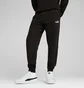 Штаны мужские Puma Ess No. 1 Logo Sweatpants Black 682606-01
