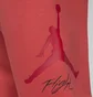 Штаны мужские Air Jordan Baseline Essentials Peach FD7345-604