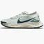 Кросівки жіночі Nike Pegasus Trail 3 Gore-Tex Light Blue DC8794-003