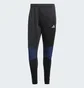 Штаны мужские Adidas Tiro 23 Competition Winterized Black IL7263