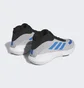 Кросівки унісекс Adidas Bounce Legends Grey IE9280