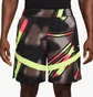 Шорты мужские Nike Dri-Fit 6 Multi HV3388-736