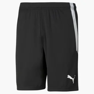 Шорти чоловічі Puma Teamliga Black 704924-03