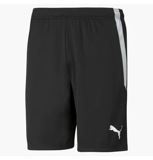 Шорты мужские Puma Teamliga Black 704924-03