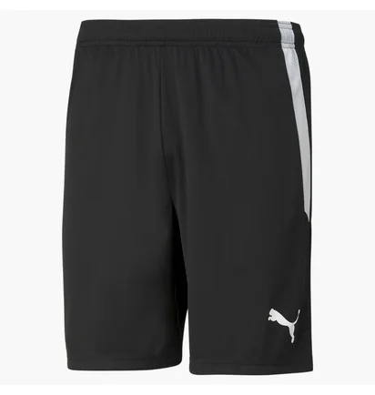 Шорты мужские Puma Teamliga Black 704924-03