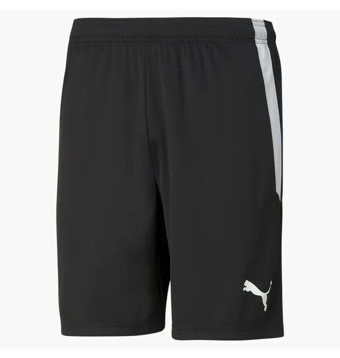 Шорты мужские Puma Teamliga Black 704924-03