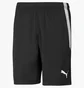 Шорты мужские Puma Teamliga Black 704924-03