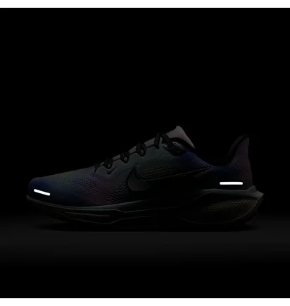 Кросівки жіночі Nike Air Zoom Pegasus 41 Multi HJ7816-400
