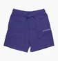 Шорти чоловічі Air Jordan Wordmark Fleece Short Violet DV6467-514