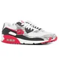 Кроссовки мужские Nike Air Max 90 Multi DJ0639-100