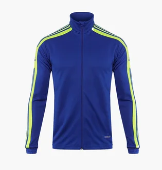 Олимпийка мужская Adidas Squadra 21 Training Jacket Blue GP6466