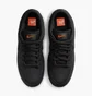 Кросівки чоловічі Nike Dunk Low Pro Sb Black FJ1674-001