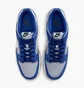 Кросівки чоловічі Nike Dunk Low Retro Se Blue IB6399-003