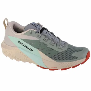 Кросівки чоловічі Salomon Sense Ride 5 Turquoise 472117
