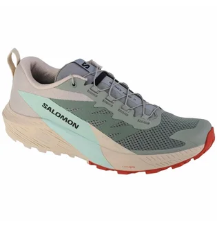 Кроссовки мужские Salomon Sense Ride 5 Turquoise 472117