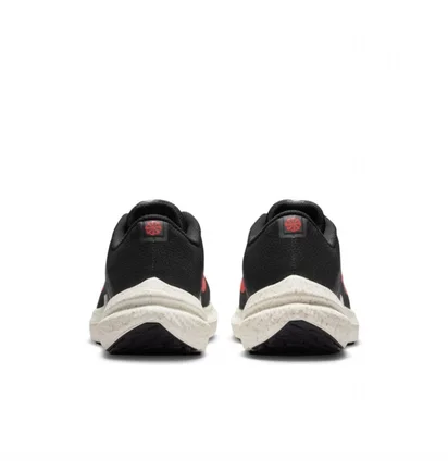 Кросівки чоловічі Nike Air Winflo 10 Black DV4022-002