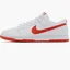 Кросівки чоловічі Nike Dunk Low White DV0831-103