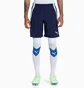Шорты мужские Puma Teamliga Training Shorts Blue 657249-06