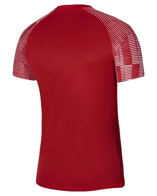 Футболка чоловіча Nike Dri-Fit Academy Red DH8031-657
