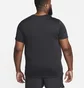 Футболка мужская Nike Dri-Fit Black Dm5412-010