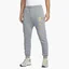 Штаны мужские Nike Sportswear Standard Issue Grey FJ0550-065