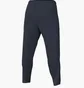 Штаны мужские Nike Strike 24 Trainingshose Blue FD7574-451