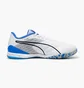 Футзалки унисекс Puma Ibero Iv White 107958-01