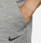 Штаны мужские Nike Therma Grey CV7739-063