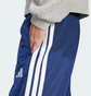 Штани чоловічі Adidas 3-Stripes Tricot Regular Blue JI8812