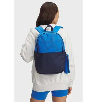 Рюкзак чоловічий Under Armour Essential Printed Blue 6000991-402