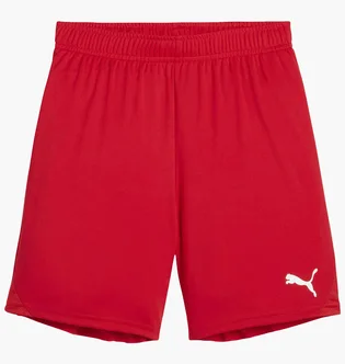 Шорти дитячі Puma Youth Team Goal Shorts Red 705753-01