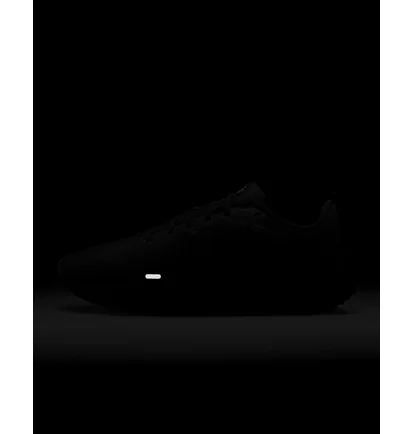 Кросівки жіночі Nike Downshifter 12 Training Shoes Black Dd9294-002