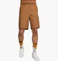 Шорты мужские Nike Club Woven Cargo Shorts Brown FN3517-281