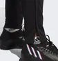 Штаны мужские Adidas Tiro 23 Club Training Pants Black Hs3619