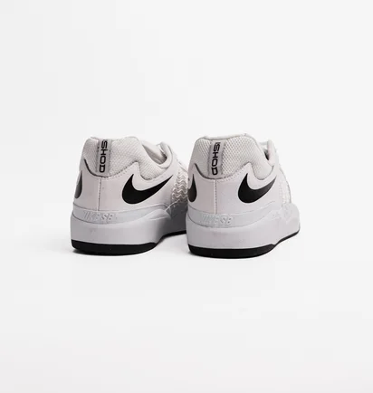 Кросівки чоловічі Nike Sb Ishod Wair Premium White Dz5648-101