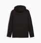Спортивный костюм мужской Puma Evostripe Full-Zip Hoodie Black 681700-01__681702-01