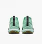 Кроссовки мужские Nike Pegasus Trail 4 Gore-Tex Turquoise DJ7926-301