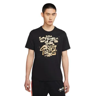 Футболка мужская Nike Lbj Ssnl Sfg Tee Black DD0785-011