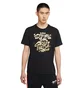 Футболка мужская Nike Lbj Ssnl Sfg Tee Black DD0785-011