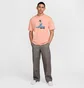 Футболка мужская Nike M90 Dunk Dog Peach HJ0896-844