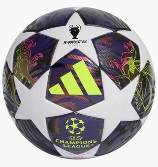 Футбольний м'яч Adidas Ucl League 350G Multi JX9098
