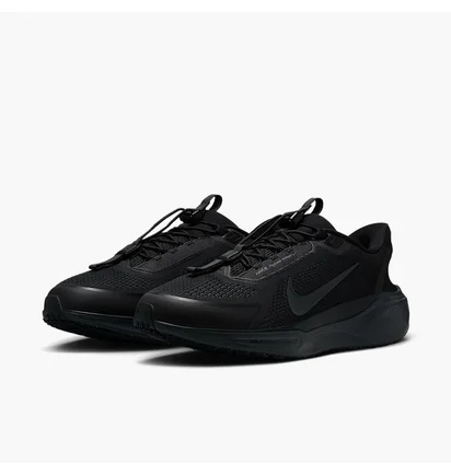 Кроссовки мужские Nike Pegasus Easyon Black FQ7837-001