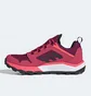 Кросівки жіночі Adidas Terrex TR Agravic Gore-tex Pink FV2490