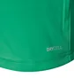 Футболка мужская Puma Teampacer Jersey Green 704919-05