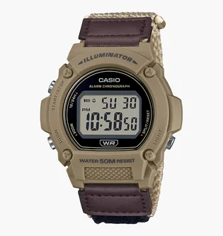Часы мужские Casio W-219HB-5A