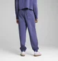 Штаны женские Puma Her High-Waist Sweatpants Violet 685667-46