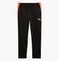 Штаны мужские Puma Individualliga Black 659517-07