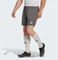 Шорты мужские Adidas Entrada 22 Shorts Grey H57505